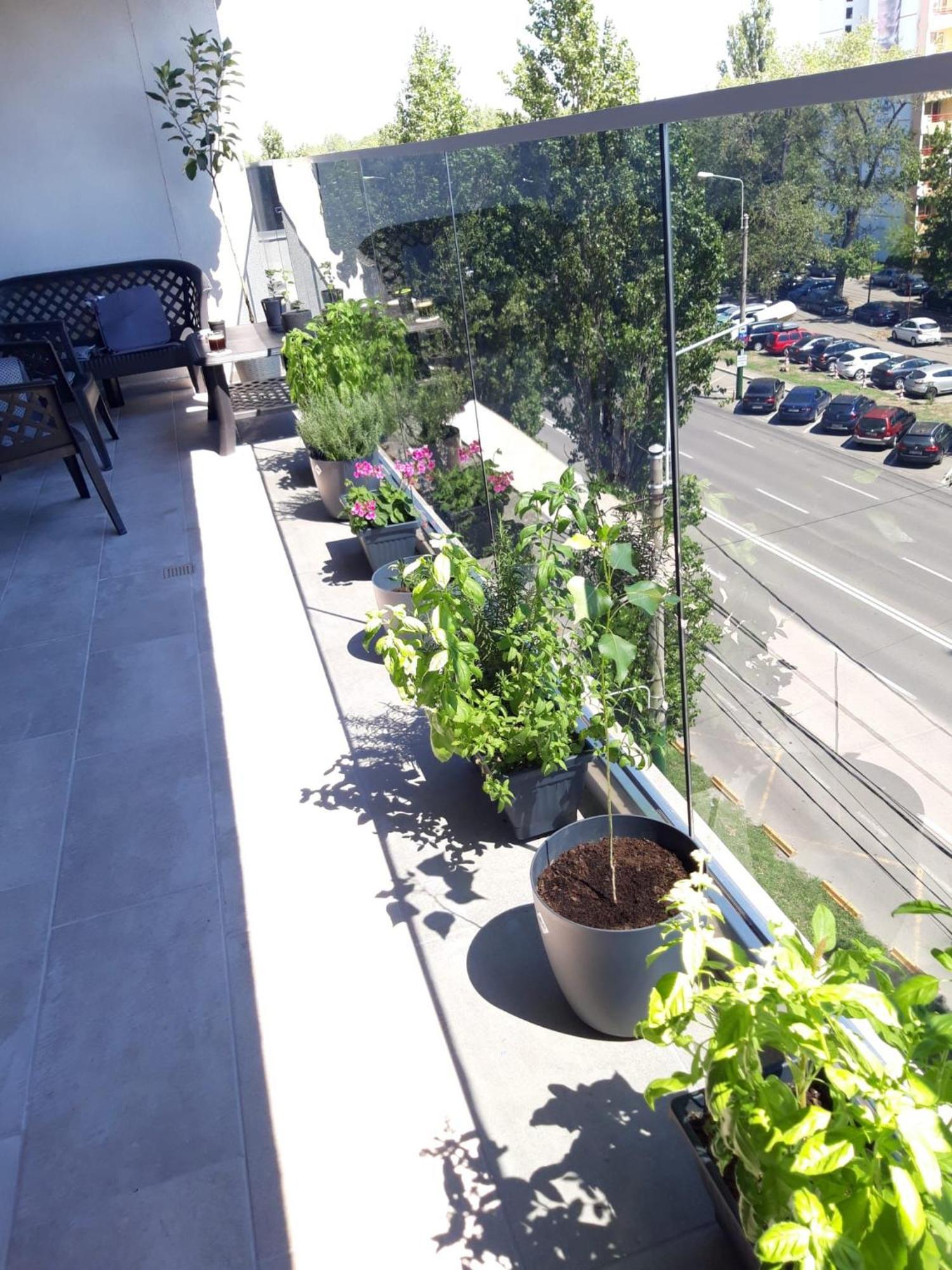 Elysse Sunrise Apartment Mamaia Esterno foto